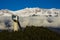 photo of The ski-jump at Bergisel, Innsbruck in Austria.