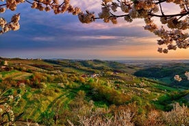 Collio: Cividale Del Friuli og vínsmökkun frá Trieste