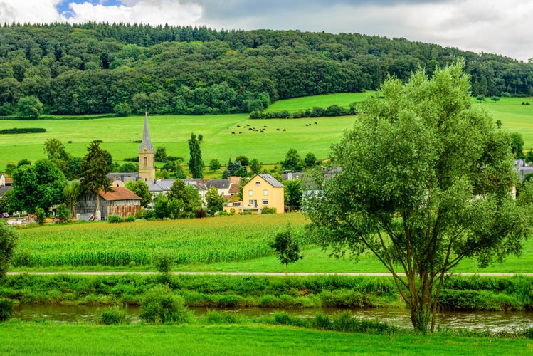 Landscape, summer day near Dikeirch, Luxembourg