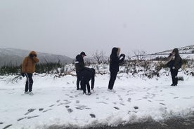 Serra da Estrela 공원과 유명한 치즈를 통한 개인 투어