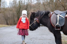 40 Minuten Reiten in der Stadt Lviv in der Nähe des Stallgebiets