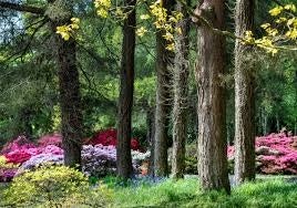 photo of John F Kennedy Arboretum .