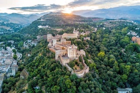 Granada: Alhambra & Nasrid Palaces Tour with Tickets