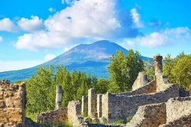 Pompeii and Vesuvius Select from Amalfi