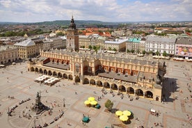 Private 3-hours Walking Tour of Krakow with official tour guide