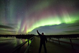 Caza de la aurora boreal en Rovaniemi con fogata y barbacoa con traslado