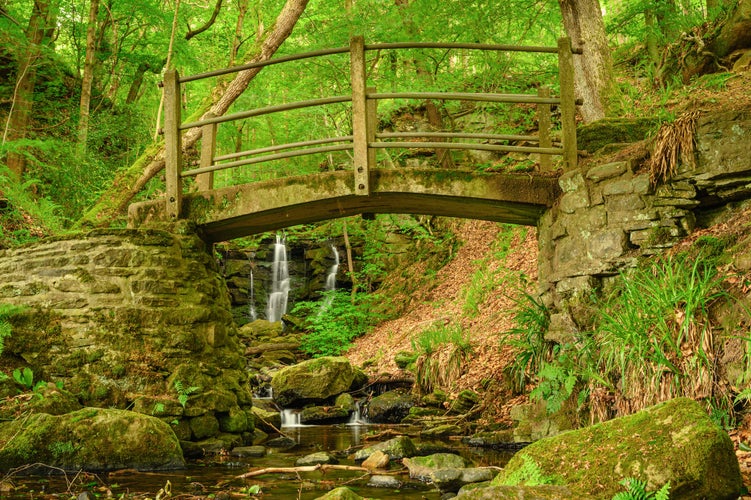 photo of view of Footbridge and Wharnley Burn Falls, a beautiful waterfall at Allensford near Consett, County Durham, the burn is a tributary of the River Derwent and well hidden in woodland.