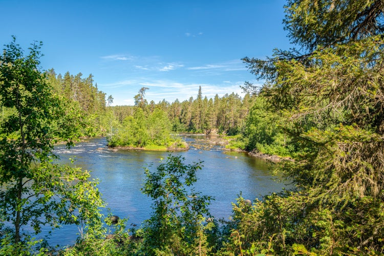 Photo of view to Oulankajoki River from the walking trail, Oulanka National Park, Kuusamo, Finland.