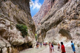 Tour privado: Saklikent Gorge-Tlos-Patara