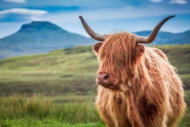 Excursion d'une journée à la découverte des Highlands écossais, du Loch Ness et de Glen Coe au départ d'Édimbourg