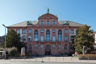 Senckenberg Museum