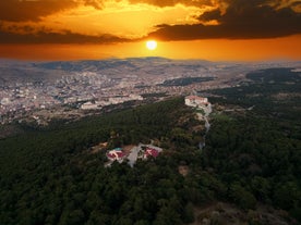 Yozgat Pine Grove National Park