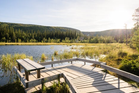 photo of Fulufjället National Park in sunny summer day in Sweden.