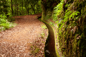 Madeira: PR 18 - Levada do Rei Hike Transportation