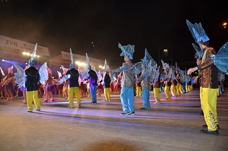 Strumica Carnival Group 2017.jpg