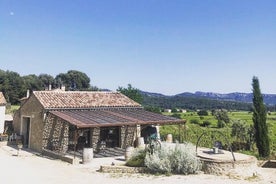 Degustazione di vini Bandol e visita della cantina (in inglese)