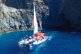 Tour di 3 ore di osservazione e ascolto di balene e delfini