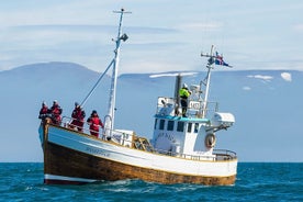 Ansvarlig hvalsafari Húsavík 