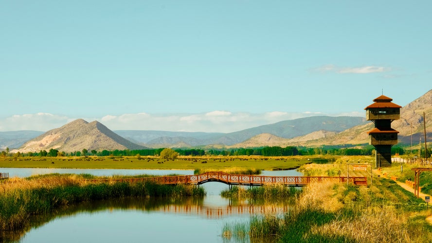 Photo of bird park from tokat , turkey.