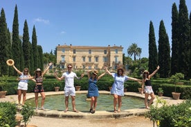 Halbtägige Château-Weintour in kleiner Gruppe ab Montpellier