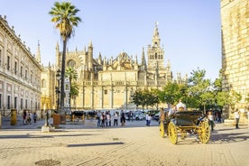 Sevilla Dagsferð frá Granada, Alcazar, dómkirkjunni og Giralda leiðsögn.