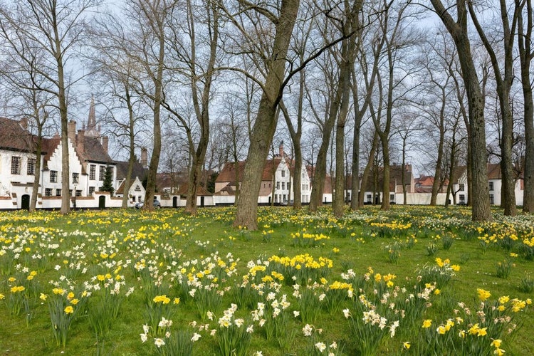 Beguinage in Bruges.jpg