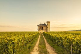 Visite privée oenologique en Côte de Nuits et Côte de Beaune