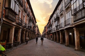 Visite guidée d'Alcala de Henares et de Cervantes au départ de Madrid