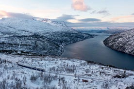 From Narvik: Round-Trip Arctic Train Ride on Ofoten Railway