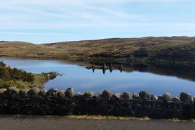 Excursão da Calçada dos Gigantes saindo de Belfast