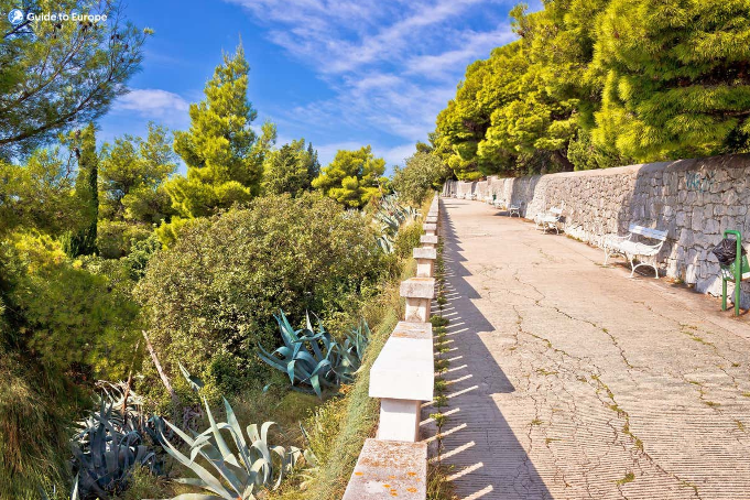 A scenic pathway bordered by lush green trees, shrubs, and agave plants, with benches and a stone wall under a bright blue sky..png