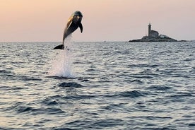 Private Sunset Dolphin Watching with Drinks in Rovinj