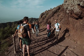 从庞贝出发的维苏威火山之旅，由专业导游带领