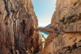 Tour privato delle gemme di Granada di un'intera giornata e tour di El Caminito Del Rey