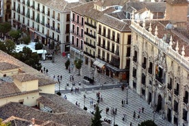 格拉纳达的 Albaicín、Sacromonte 和 Sagrario 遗产私人之旅