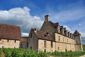 Hálfs dags ferð um Cote de Nuits vínekrurnar frá Dijon