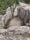 Dolmenes de Artajona, Artajona, Navarre, Spain