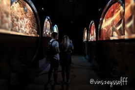 Visita immersiva della cantina, degustazione e cestino da picnic