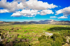 Tour privato al Palazzo di Cnosso e all'altopiano di Lassithi da Elounda