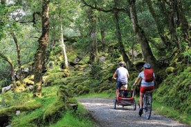 Andar de bicicleta no Parque Nacional de Glenveagh. Donegal. Autoguiado. 3 horas.