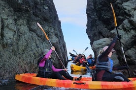 Viagem de caiaque no mar ao redor de Bray Head