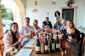 Pagus Wine Tours – Halvdags vintur med en smak av Valpolicella