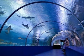 Aquarium and Face to Face Wax Museum in Antalya