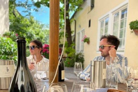 Visite privée des vins des bois de Vienne