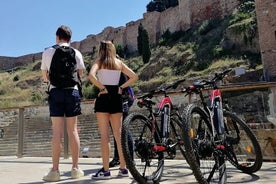 Malaga elcyklar guidad tur