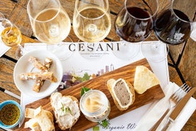 „Gourmet“-Weinprobe bei Cesani