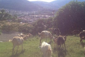 Ferme locale bio