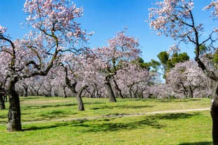 Cáceres -  in Spain