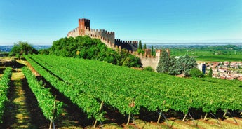 Venetian Villas and Vineyards Cycling