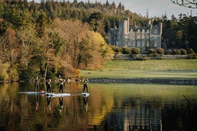 From Dublin: Stand Up Paddleboarding Experience